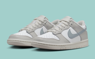 週間売れ筋 with Evolution Dunk Its Continues Nike the in Low Dunk GS パーツ